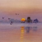 D F Dane original oil paintings
