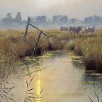 D F Dane original oil paintings